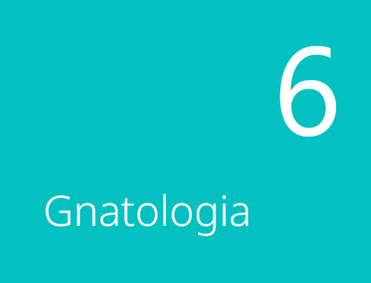 Gnatologia